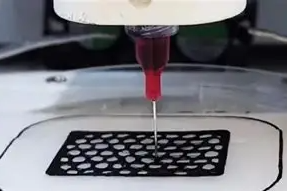 ScreenShot_2025-11-21_112052_555 ScreenShot_2025-11-21_112052_555