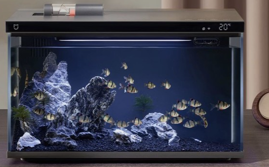 ScreenShot_2025-11-28_114549_329