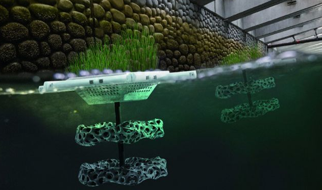 ScreenShot_2026-01-08_090356_587