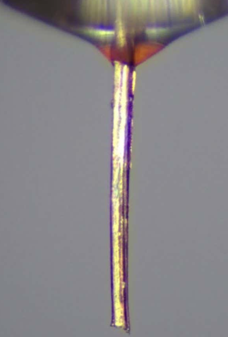 ScreenShot_2026-01-04_105055_043