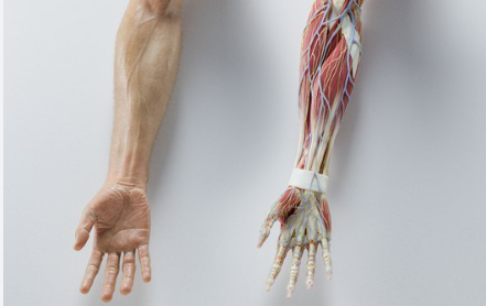 ScreenShot_2026-01-09_110035_759