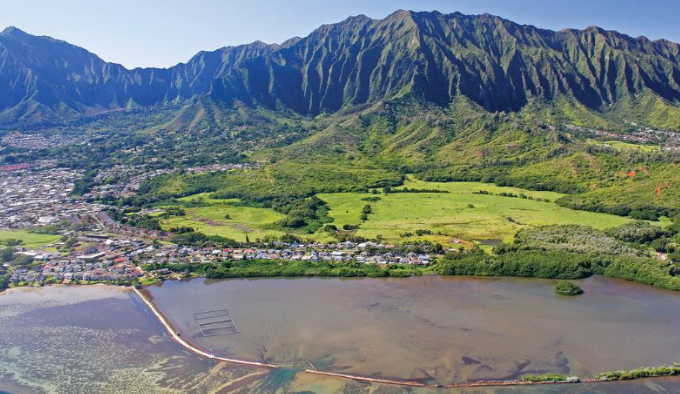 ScreenShot_2026-01-08_085709_259