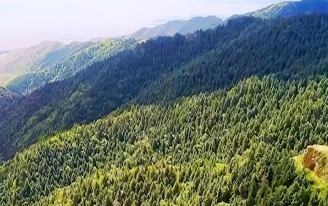 ScreenShot_2026-01-08_160236_301