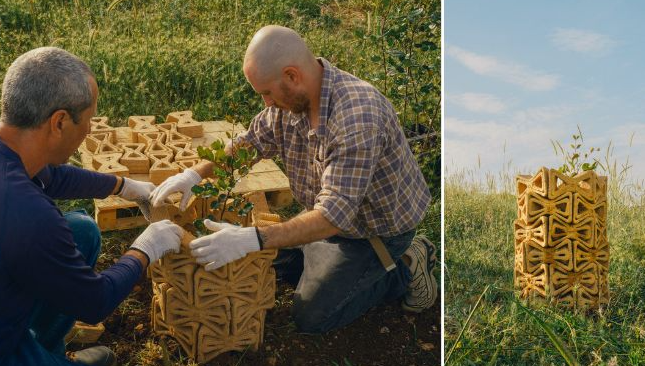 ScreenShot_2026-01-08_090329_500