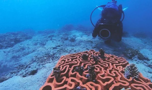 ScreenShot_2026-01-08_090334_561