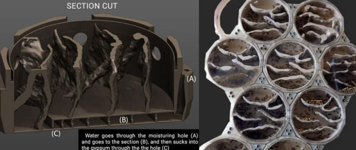 ScreenShot_2026-01-08_091825_775