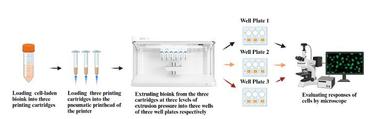 ScreenShot_2026-01-08_090657_055 ScreenShot_2026-01-08_090657_055