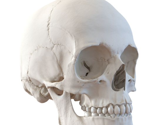 ScreenShot_2026-03-16_140647_875 ScreenShot_2026-03-16_140647_875