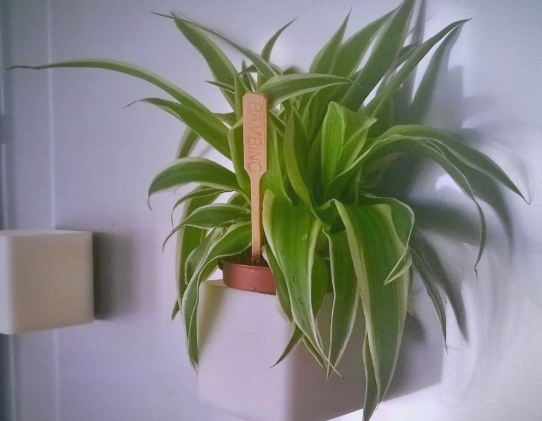 ScreenShot_2026-04-10_155155_485 ScreenShot_2026-04-10_155155_485